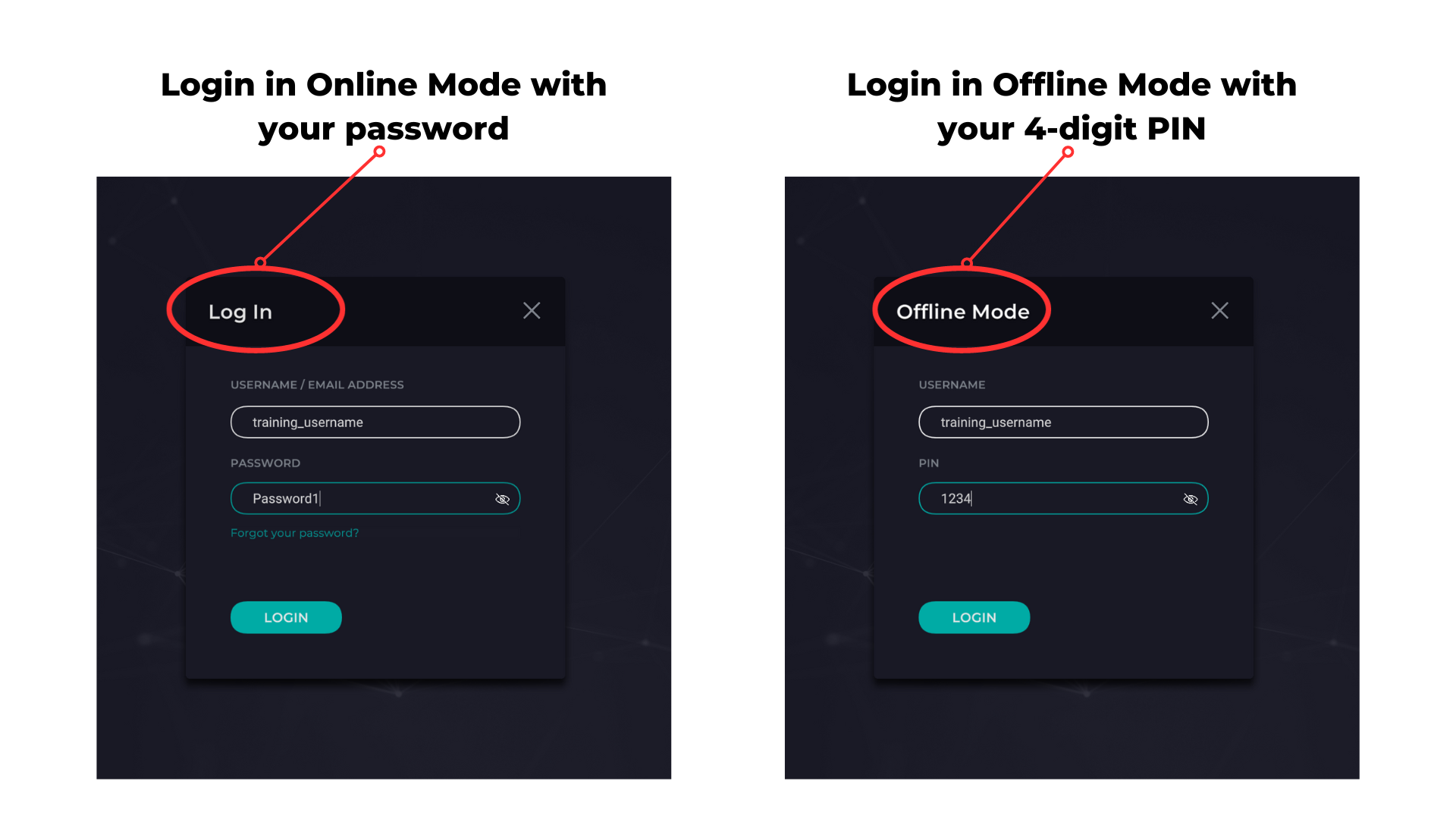 Logging In - Online vs Offline Mode